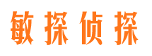 清水市侦探调查公司